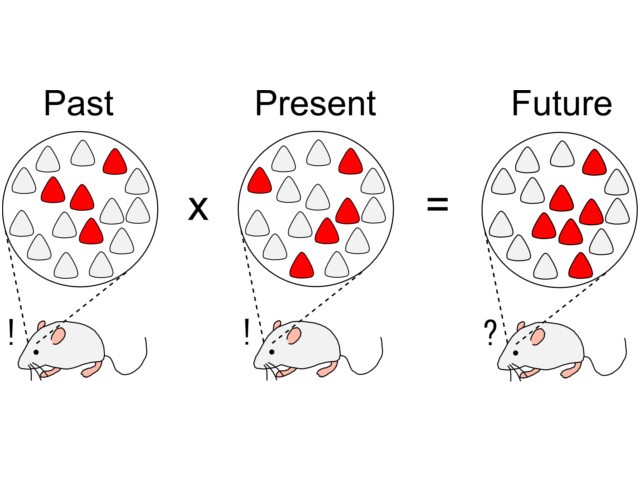 Neuronal circuit mechanisms integrating the past and present and controlling future behavior